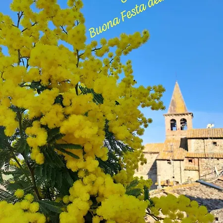 Val Della Pieve * アンギアーリ