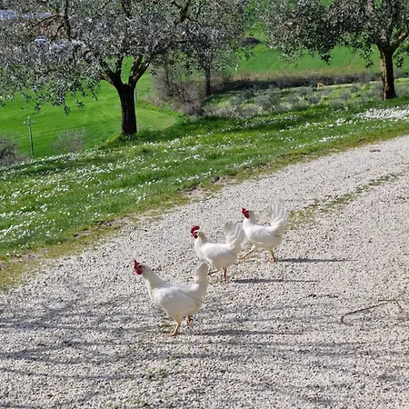 Val Della Pieve Anghiari