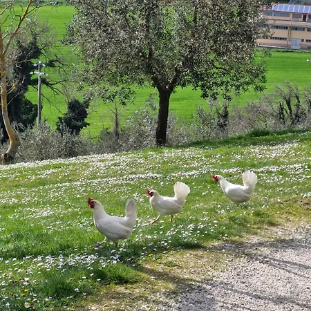 Val Della Pieve ファームステイ