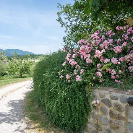 Val Della Pieve Lantgård *