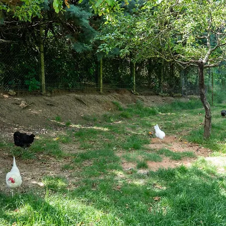 Lantgård Val Della Pieve *